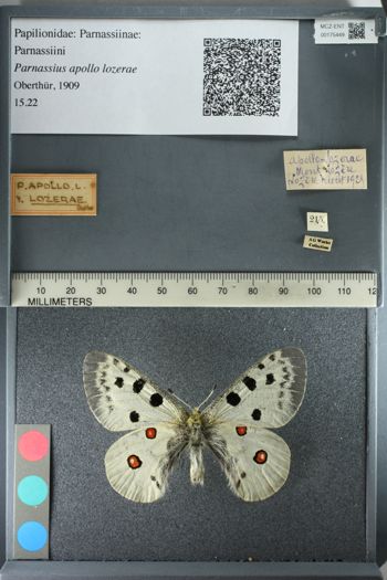 Media type: image;   Entomology 175449
